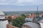 DSC_0130.jpg