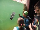 DSCF8679.jpg