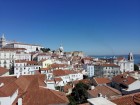 IMG_0917 (20).jpg