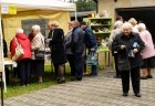 PARAFIALNY DZIE� POMOCY